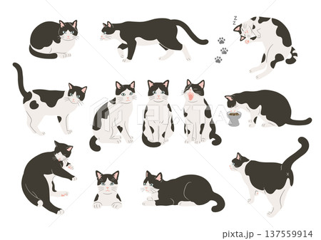 白黒猫のいろいろなポーズのイラストセット 白黒猫のいろいろなポーズのイラストセット 137559914