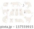 白猫のいろいろなポーズのイラストセット 137559915