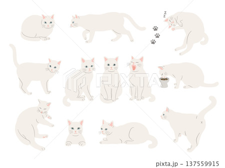 白猫のいろいろなポーズのイラストセット 137559915