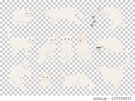 Illustration set of various poses of a white cat Illustration set of various poses of a white cat 137559915