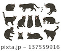 黒猫のいろいろなポーズのイラストセット 137559916