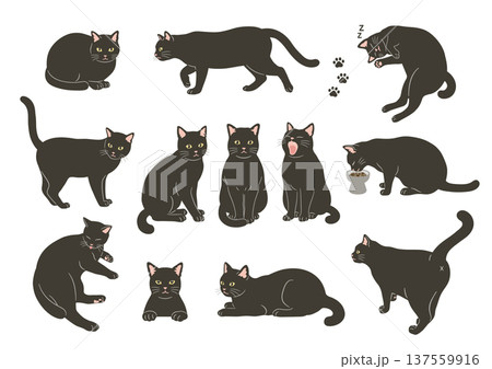 黒猫のいろいろなポーズのイラストセット 黒猫のいろいろなポーズのイラストセット 137559916