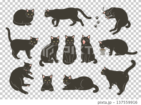 Illustration set of various poses of black cats Illustration set of various poses of black cats 137559916