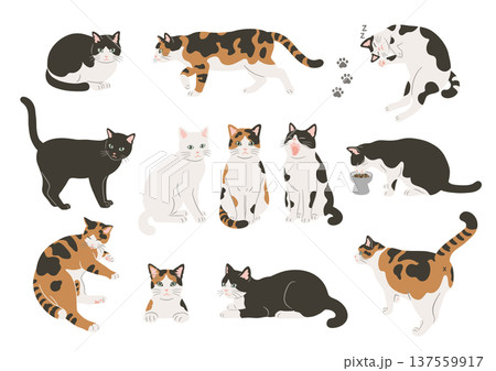 猫のいろいろなポーズのイラストセット 137559917
