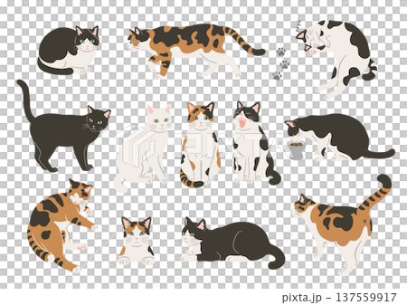 Illustration set of various poses of cats Illustration set of various poses of cats 137559917