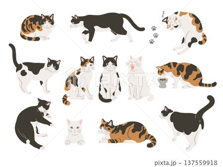 猫のいろいろなポーズのイラストセット 137559918