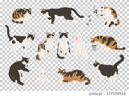 猫のいろいろなポーズのイラストセット 137559918
