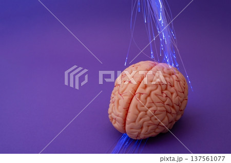 Purple day. Epilepsy awareness day. Neurolink example Purple day. Epilepsy awareness day. Neurolink example 137561077