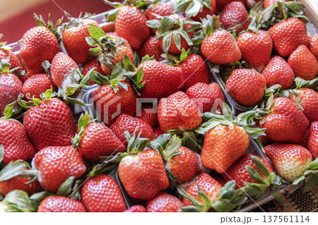 Close-up of red strawberries in clear plastic packs showing natural flaws and small mold spots. 137561114