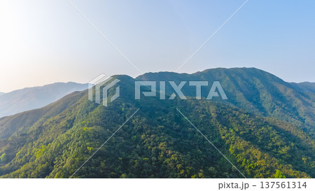 Kwun Yam Shan forested peak rising beneath clear sky March 7 2026 137561314