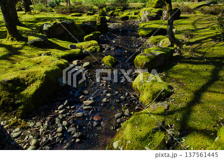 春まじかの味真野苑 春まじかの味真野苑 137561445