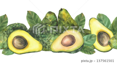 Avocado seamless border. Whole and cut avocado fruit half with seed and leaves. Watercolor painting illustration isolated from background for food packaging pattern design, farm product label print. 137561501