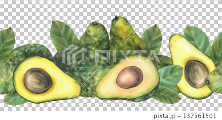 Avocado seamless border. Whole and cut avocado fruit half with seed and leaves. Watercolor painting illustration isolated from background for food packaging pattern design, farm product label print. 137561501