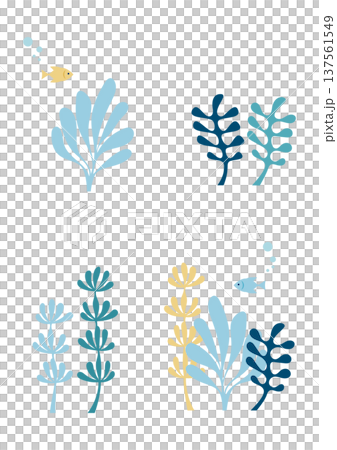 海藻のイラストセット 夏の海素材 137561549