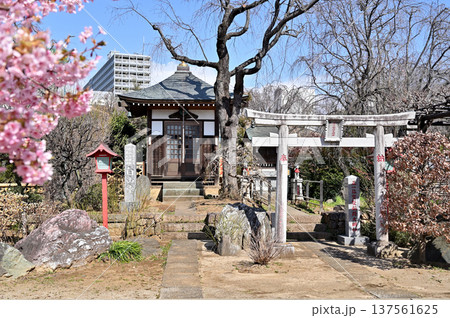 岩槻散歩:曹洞宗 芳林寺 境内社の寶珠稲荷と白山堂 岩槻散歩:曹洞宗 芳林寺 境内社の寶珠稲荷と白山堂 137561625