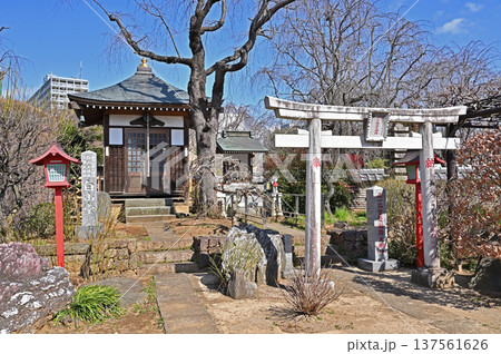 岩槻散歩:曹洞宗 芳林寺 境内社の寶珠稲荷と白山堂 岩槻散歩:曹洞宗 芳林寺 境内社の寶珠稲荷と白山堂 137561626