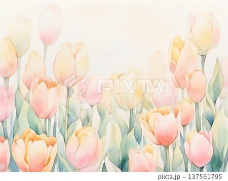 水彩で描いたチューリップのイラスト5 137561795