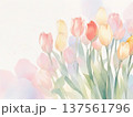 水彩で描いたチューリップのイラスト4 137561796