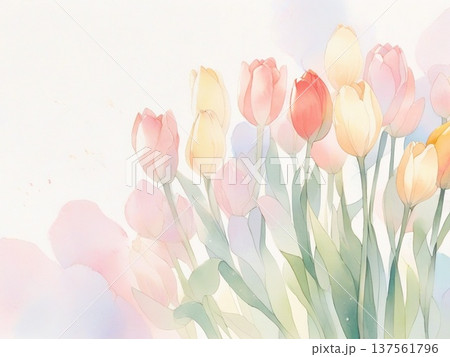 水彩で描いたチューリップのイラスト4 137561796