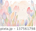 水彩で描いたチューリップのイラスト2 137561798