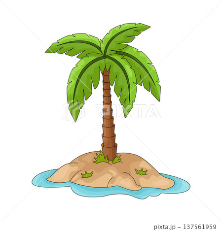 Illustration of palm tree Illustration of palm tree 137561959