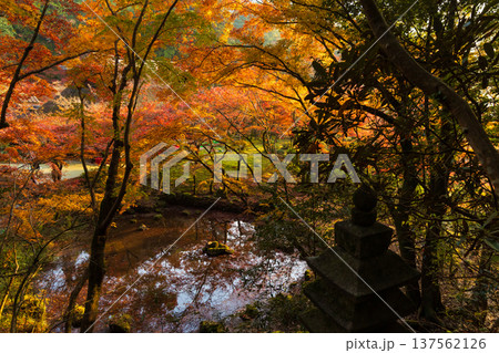 秋の佐賀県神埼市 紅葉の九年庵 秋の佐賀県神埼市 紅葉の九年庵 137562126