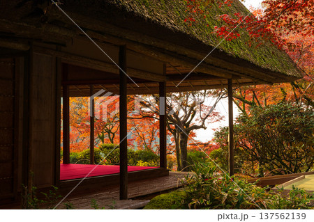 秋の佐賀県神埼市　紅葉の九年庵 137562139
