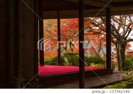 秋の佐賀県神埼市　紅葉の九年庵 137562140