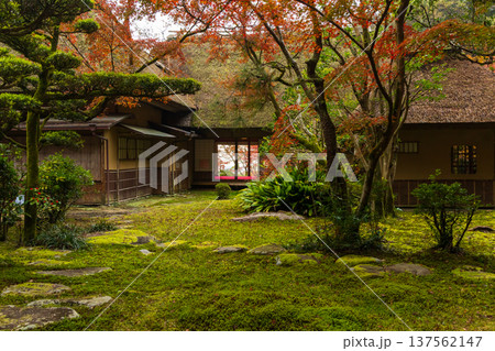 秋の佐賀県神埼市　紅葉の九年庵 137562147