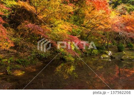 秋の佐賀県神埼市 紅葉の九年庵 秋の佐賀県神埼市 紅葉の九年庵 137562208