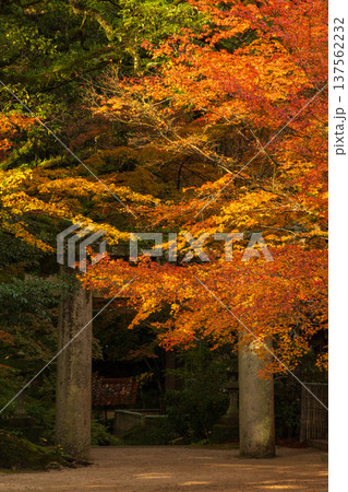 秋の佐賀県神埼市 紅葉の仁比山神社 二の鳥居 秋の佐賀県神埼市 紅葉の仁比山神社 二の鳥居 137562232