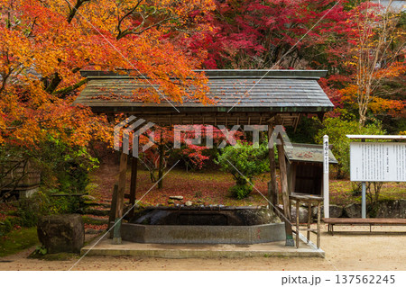 秋の佐賀県神埼市 紅葉の仁比山神社 手水舎 秋の佐賀県神埼市 紅葉の仁比山神社 手水舎 137562245