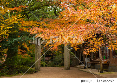 秋の佐賀県神埼市　紅葉の仁比山神社　二の鳥居 137562257