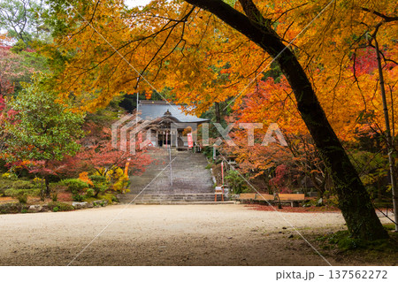 秋の佐賀県神埼市　紅葉の仁比山神社 137562272