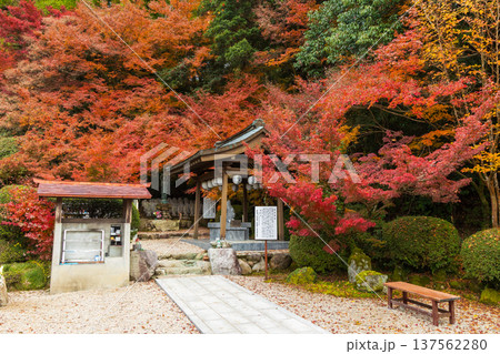 秋の佐賀県神埼市　紅葉の仁比山地蔵院 137562280