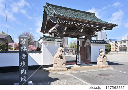 岩槻散歩：曹洞宗 芳林寺　山門 137562285