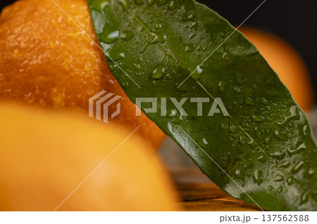 wet fresh orange small tangerines with green leaves on a wooden board r, a group of ripe sweet tangerines with green leaves covered with drops of clear water 137562588