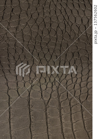 black artificial fabric in the style of crocodile skin with specks and spots, a close-up of a piece of clothing made in the style of leather items made of artificial leather 137562602