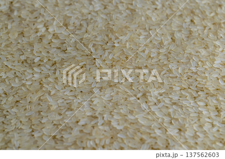 white dry hard rice, sprinkled before cooking, is sprinkled with natural, pure, ground rice, served on the table before cooking, a large amount of pure, high-quality, natural rice grains white dry hard rice, sprinkled before cooking, is sprinkled with natural, pure, ground rice, served on the table before cooking, a large amount of pure, high-quality, natural rice grains 137562603