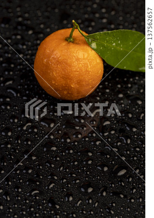 wet fresh orange small tangerines with green leaves are reflected on a black mirror ,one ripe sweet tangerines with green leaves covered with drops of clear water with reflection on a black glass wet fresh orange small tangerines with green leaves are reflected on a black mirror ,one ripe sweet tangerines with green leaves covered with drops of clear water with reflection on a black glass 137562657