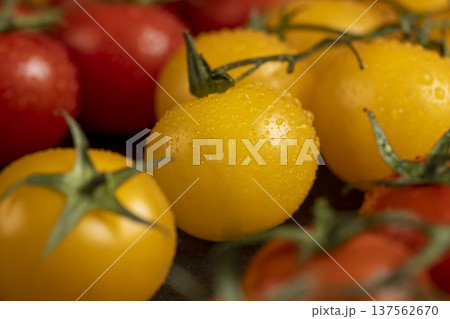 wet round fresh and sweet tomatoes of red color lie on the table, yellow tomatoes with dots on the peel, a large number of freshly picked tomatoes covered with drops of water wet round fresh and sweet tomatoes of red color lie on the table, yellow tomatoes with dots on the peel, a large number of freshly picked tomatoes covered with drops of water 137562670