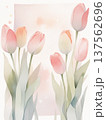 水彩で描いたチューリップのイラスト縦8 137562696