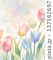 水彩で描いたチューリップのイラスト縦7 137562697