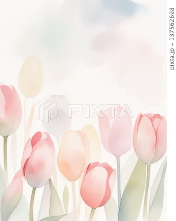 水彩で描いたチューリップのイラスト縦6 137562698