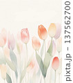 水彩で描いたチューリップのイラスト縦4 137562700