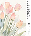 水彩で描いたチューリップのイラスト縦3 137562701