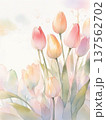 水彩で描いたチューリップのイラスト縦2 137562702