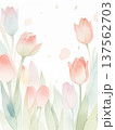 水彩で描いたチューリップのイラスト縦1 137562703