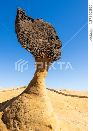 Beautiful Queen's Head of the Yehliu Geopark. Yehliu is a cape located in Wanli, New Taipei City, Taiwan. 137562899
