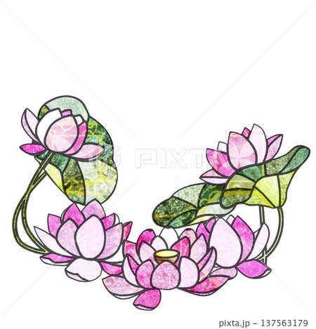 蓮の花 137563179